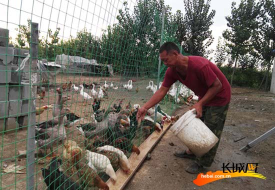京东雨顺农场:发展从单一走向多元